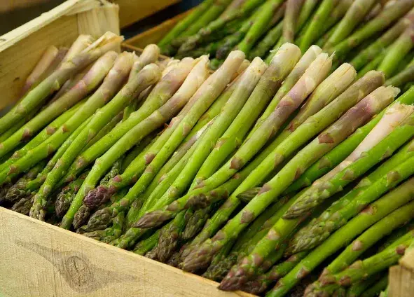 Asparagus