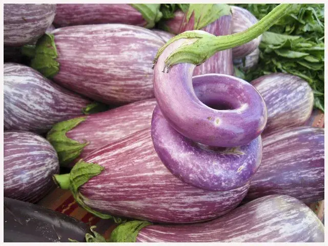 Eggplant