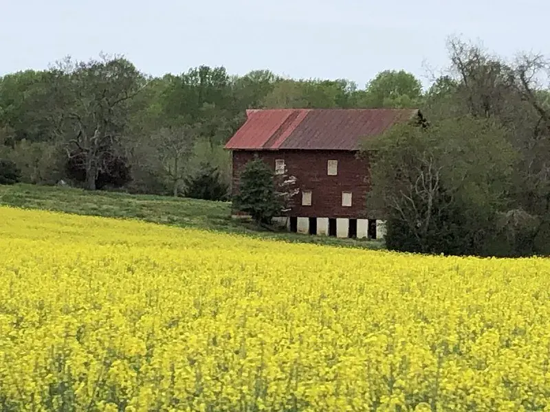 House in field