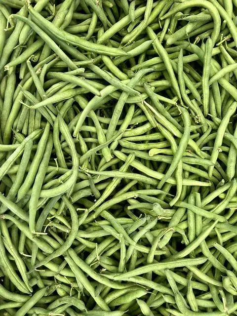 Green Beans