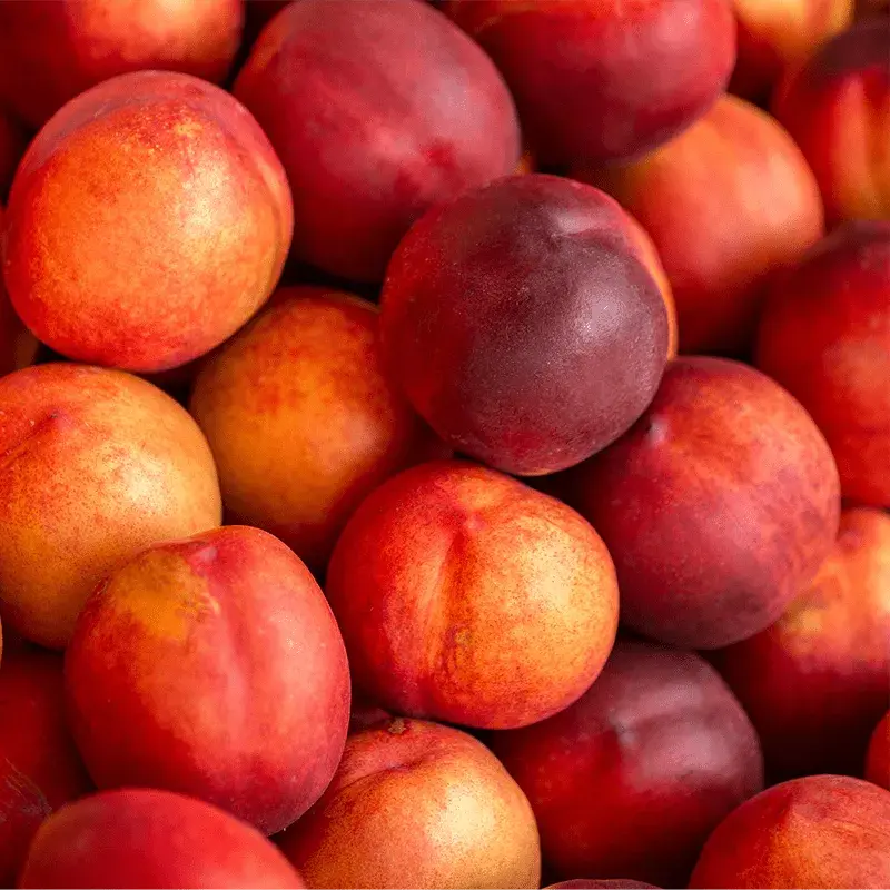 Nectarines