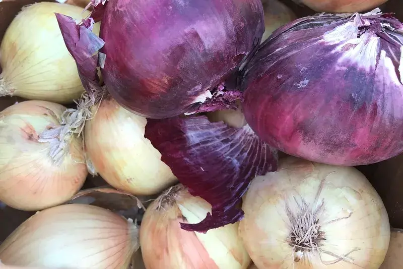 Onions
