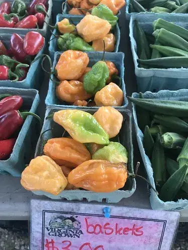 Peppers