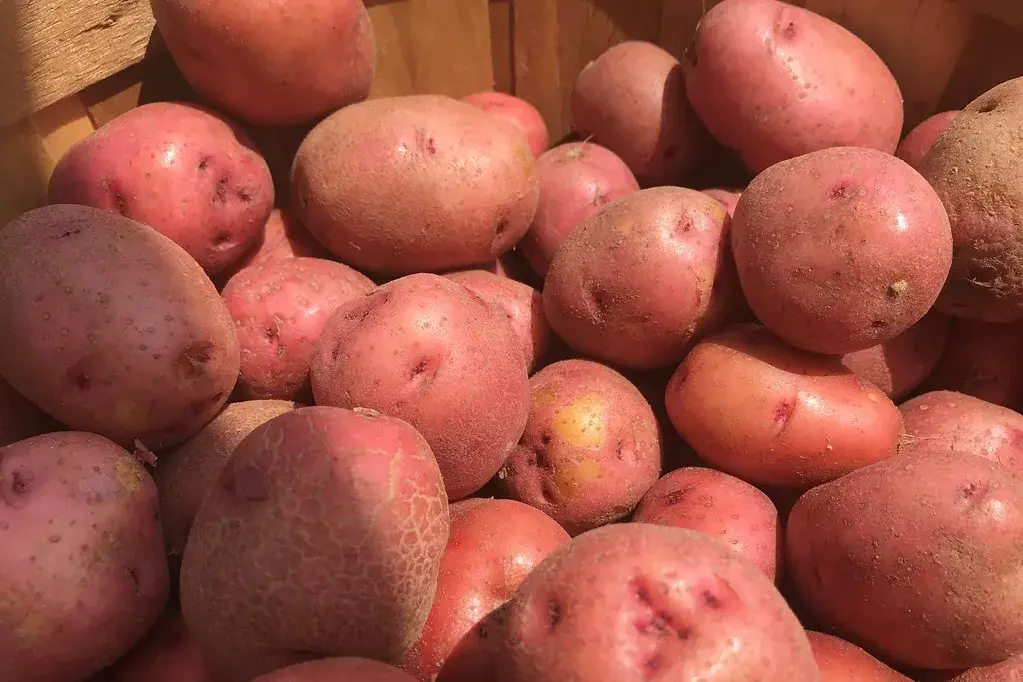 Potatoes
