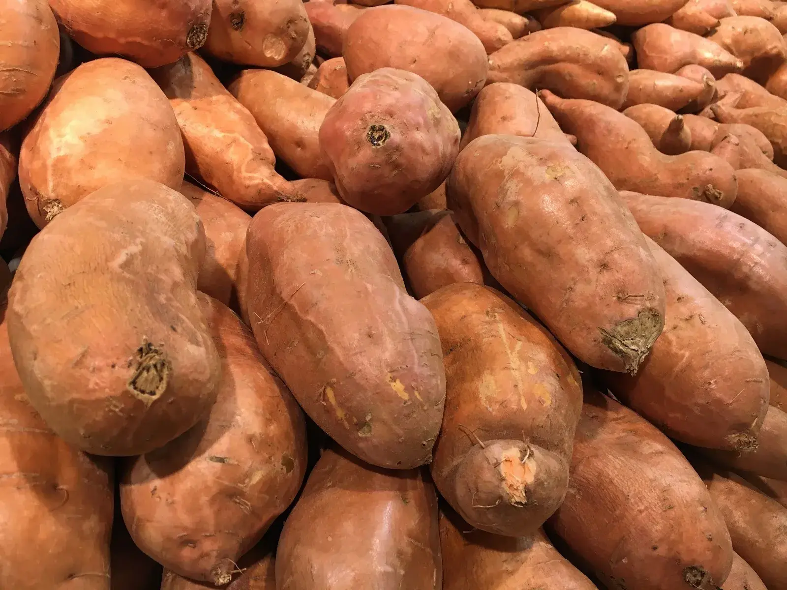 Sweet Potatoes
