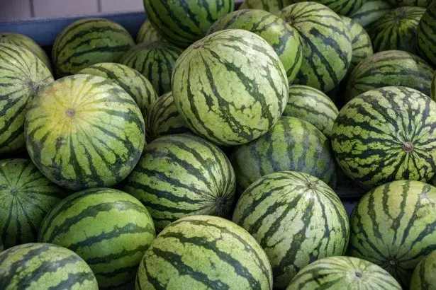 Watermelon