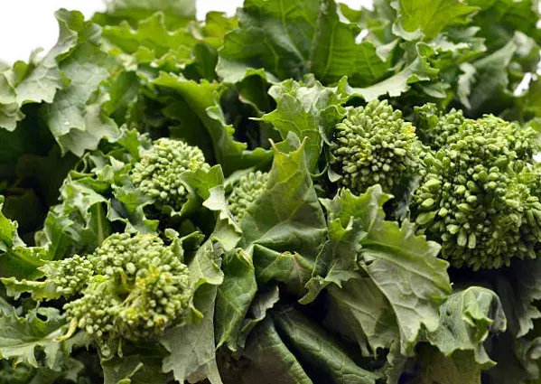 Broccoli Raab