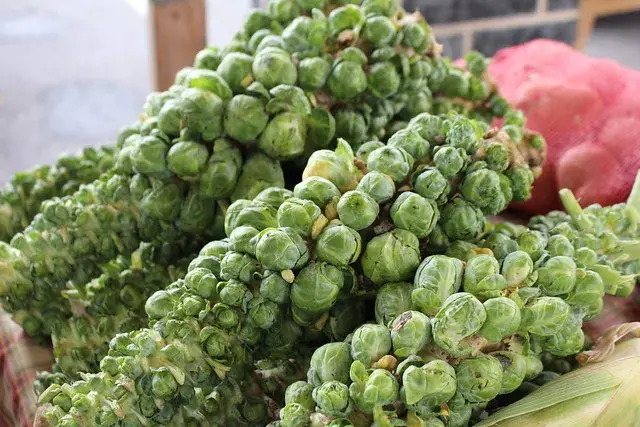 Brussel Sprouts