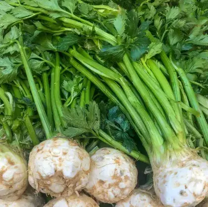 Celery Root