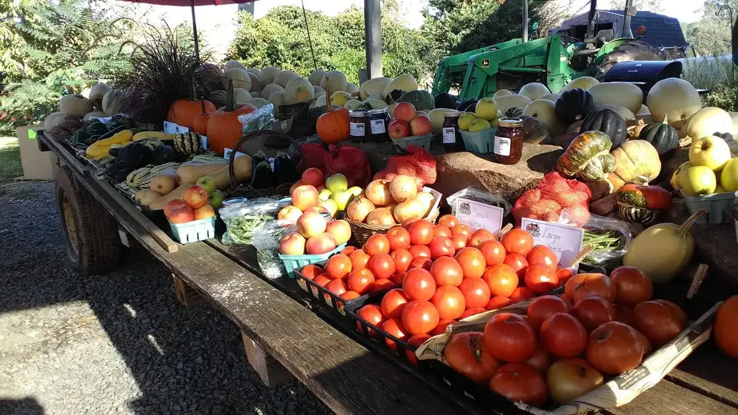 Farmer's Market Produce