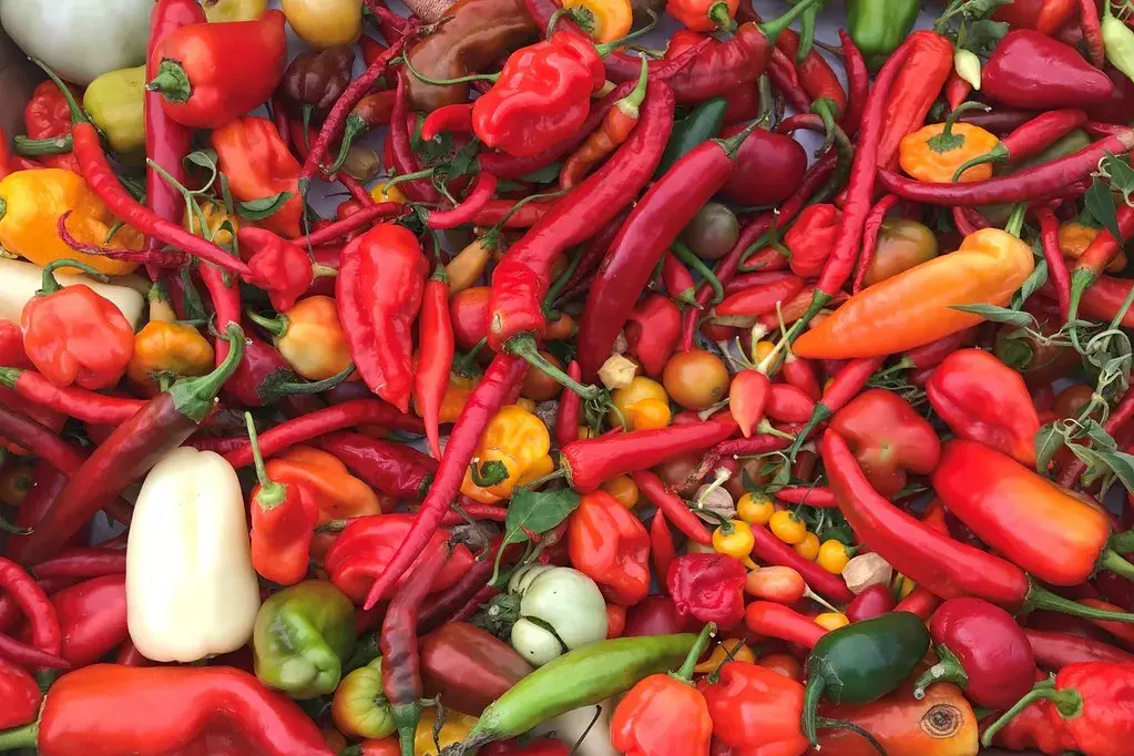 Hot Peppers