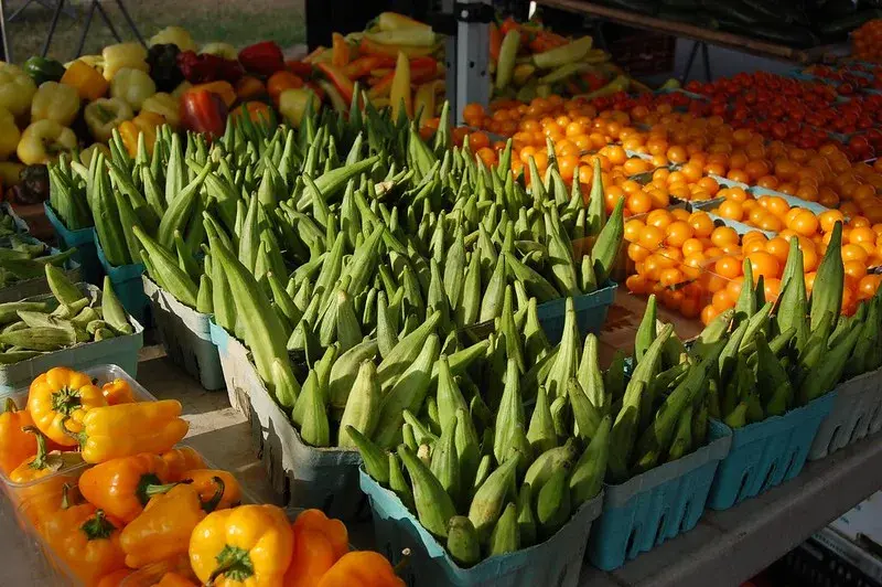Okra